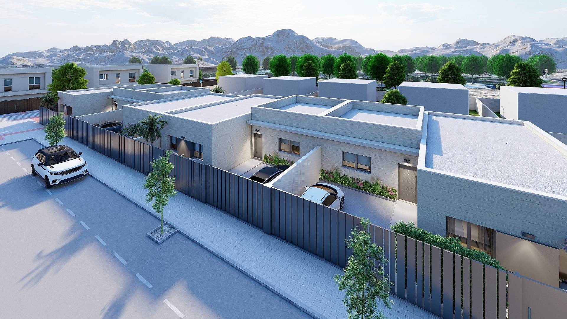 Lemon homes